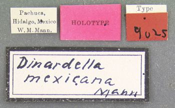 Media type: image;   Entomology 9025 Aspect: labels